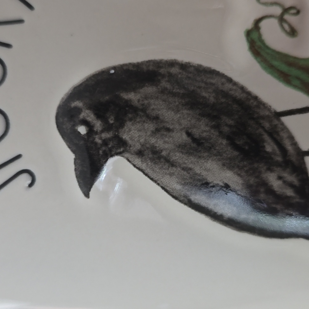 NTW Rae Dunn Spooky Mug - Picture 15 of 16